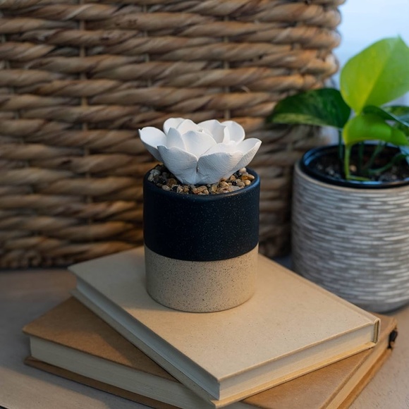 Demdaco Succulent 3 x 5 Stoneware Decorative Tabletop Oil Diffuser - Picture 6 of 11